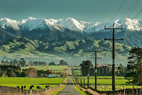 How to get New Zealand permanent residency?