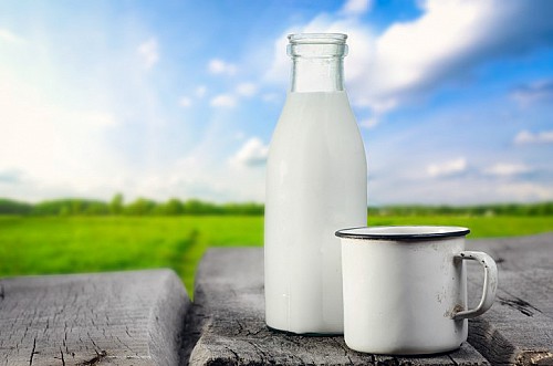Hungarian firm offers new lactose-free dairy products